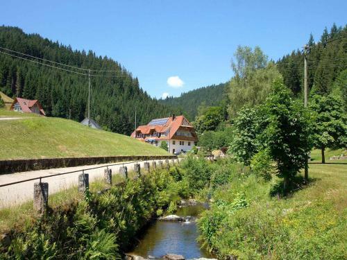 Apartamento G�stehaus Schoch