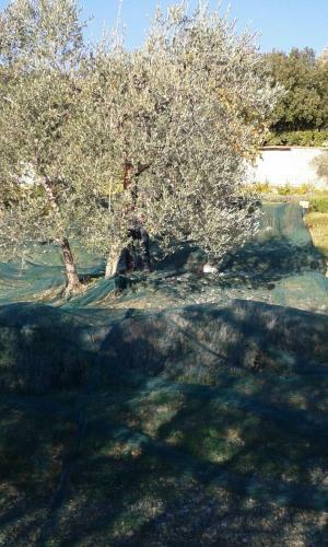 Apartamento Le Valli Lavanda