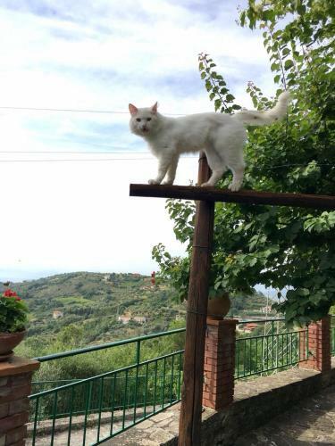 Apartamento Casale Torone