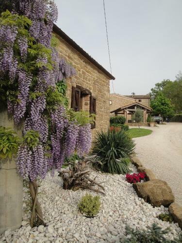 Agroturismo Agriturismo Alla Vecchia Quercia