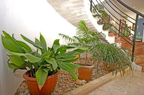 Agroturismo Ferienhaus Can Bosch