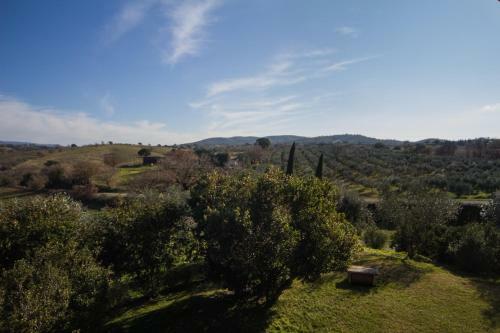 Agroturismo Agriturismo Echi D'etruria