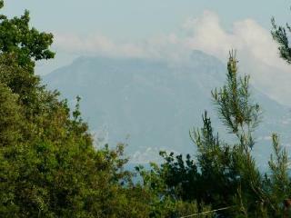 Bed & Breakfast Residenza Le Rose