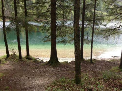 Apartamento See 31, Ferienlofts Am Traunsee