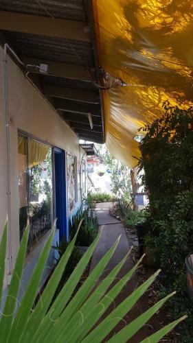Albergue Alice's Secret Travellers Inn