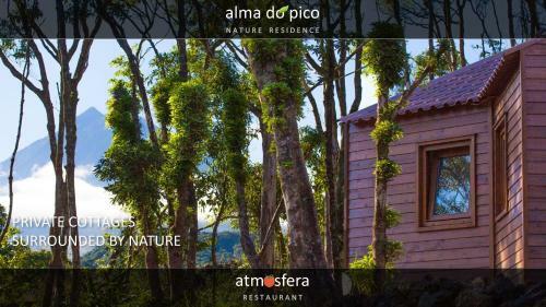 Apartamento Alma Do Pico