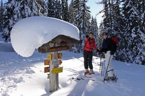Apartamento Schieplechnerhof