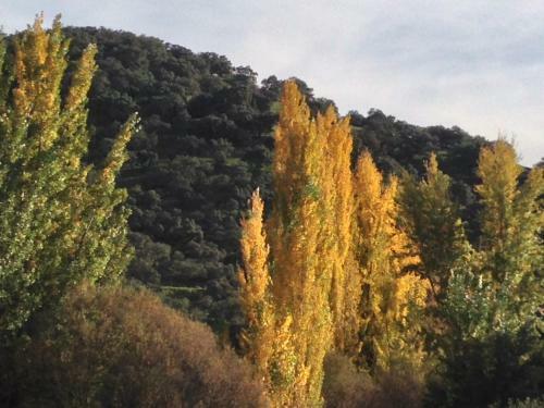 Agroturismo Finca Valle Corchoso
