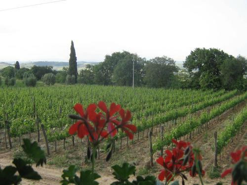 Apartamento Antico Podere La Martinella