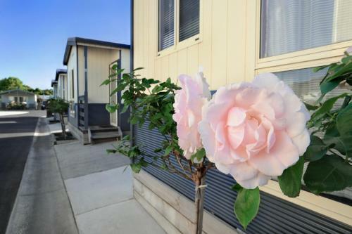 Apollo Bay Holiday Park