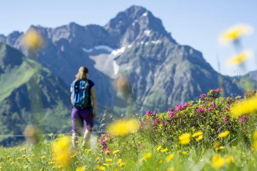 Apartamento Ferienwohnungen Am Walmendingerhorn