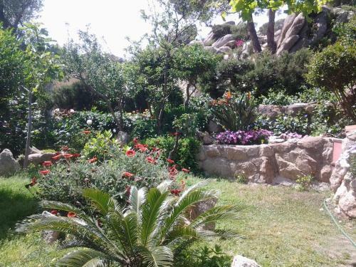 Bed & Breakfast Vecchia Fonte 3