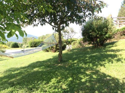 Apartamento Agriturismo La Bicocca - Apt L'olivo