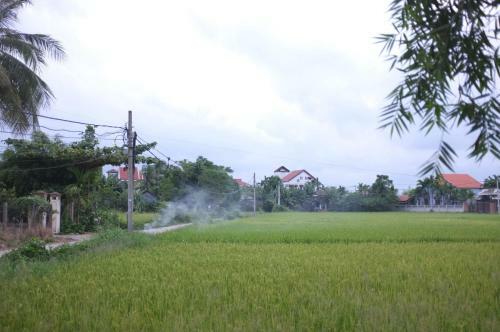 Rock Villa