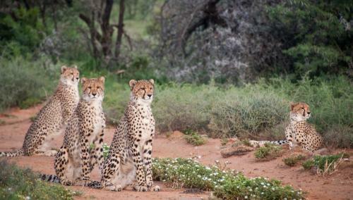 Samara Private Game Reserve Karoo Lodge