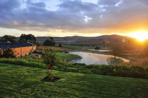Aaldering Vineyards, Winefarm & Luxury Lodges