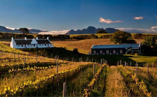 Aaldering Vineyards, Winefarm & Luxury Lodges