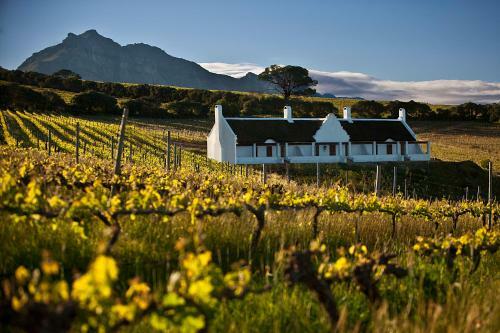 Aaldering Vineyards, Winefarm & Luxury Lodges
