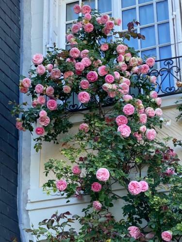 Bed & Breakfast Le Mascaret