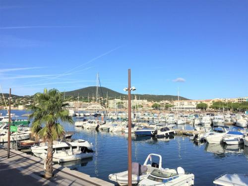 Apartment Pins Ensoleilles II Sainte Maxime