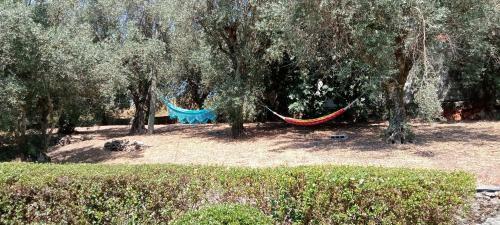 Apartamento Tapada Flats