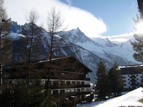 Apartamento Studio Les Drus/studio Du Brevent