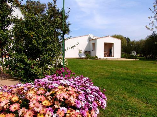 Agroturismo Agriturismo Li Scopi