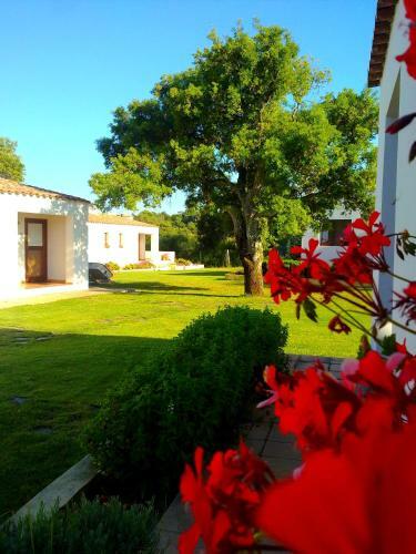 Agroturismo Agriturismo Li Scopi