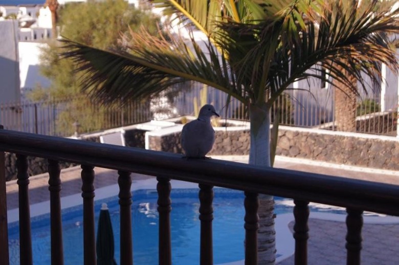 Apartamentos Princesa Guayadeque