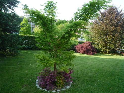 Apartamento Monolocali In Casa Con Giardino Bellagio