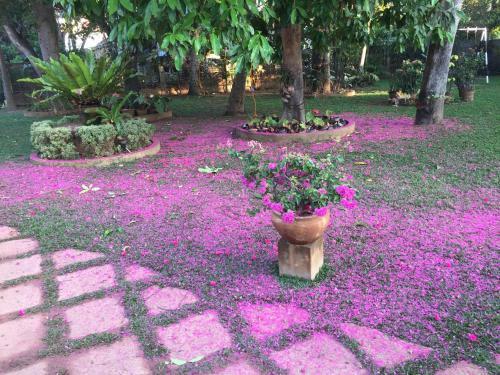 Hostal Cinnamon Guesthouse