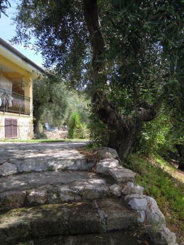 Bed & Breakfast Buenavistasurfmed