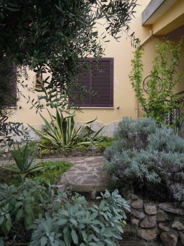 Bed & Breakfast Buenavistasurfmed