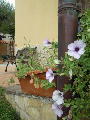 Bed & Breakfast Buenavistasurfmed