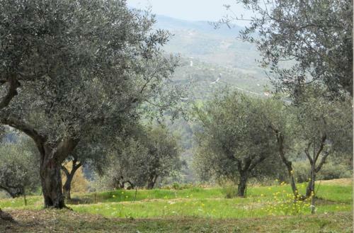 Agroturismo Casale Il Gheppio
