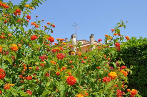Bed & Breakfast Giardini Di Marzo