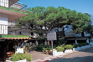 Hotel Els Pins