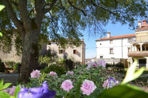 Villas Aurelia