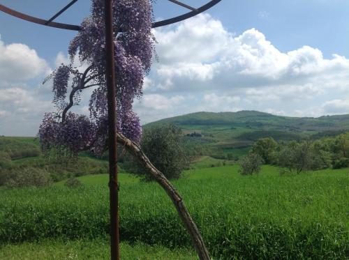 Agroturismo Residenza D'epoca La Commenda