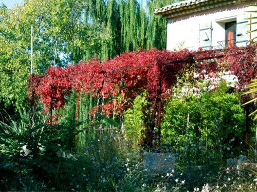 Hostal Le Mas De La Chouette