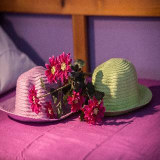 Apartamento Ceratonia