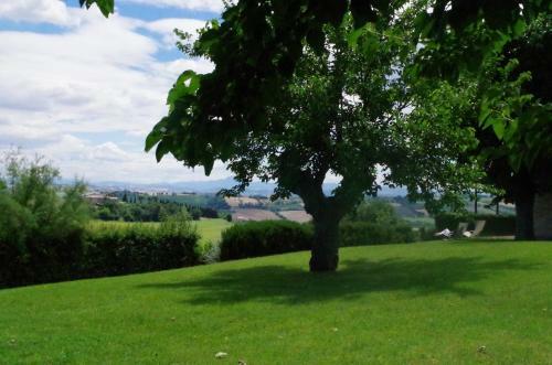 Agroturismo Solea Albergo Di Campagna
