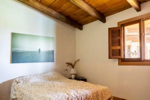 Albergue Twinfin Surf Camp