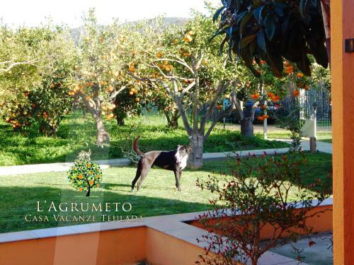 Apartamento Case Vacanza Teulada