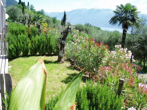 Apartamento Caselli Vigole Al Sole
