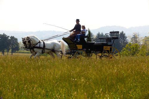 Bed & Breakfast Foresteria Dei Piaceri Campestri