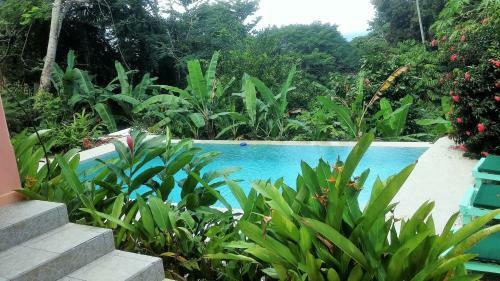Tobago Hibiscus Golf Villas &amp; Appartments