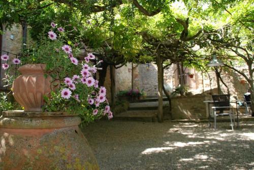 Agroturismo Il Portone Apartments