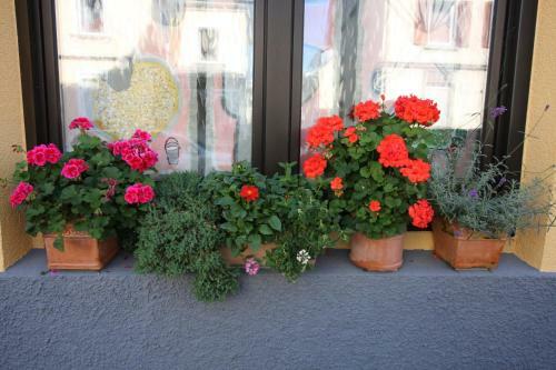 Hostal Stadthotel Kleiner Berg