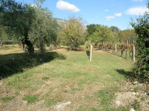 Apartment Welcome To Campolongo